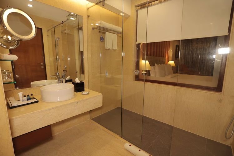 Radisson Blu Palace udaipur hotel
